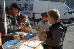 20060128_10_1024x768