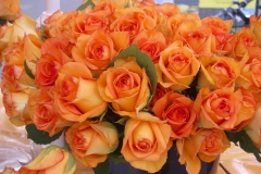 20060513_01_1024x768