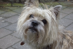 20070203_11_1024x768