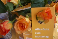 20070511_17_1024x768