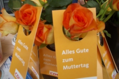 20070511_18_1024x768