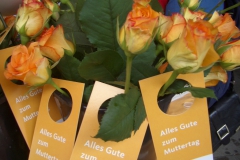 20070511_19_1024x768