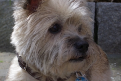 20070804_11_1024x768