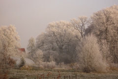 20071222_12_1024x768